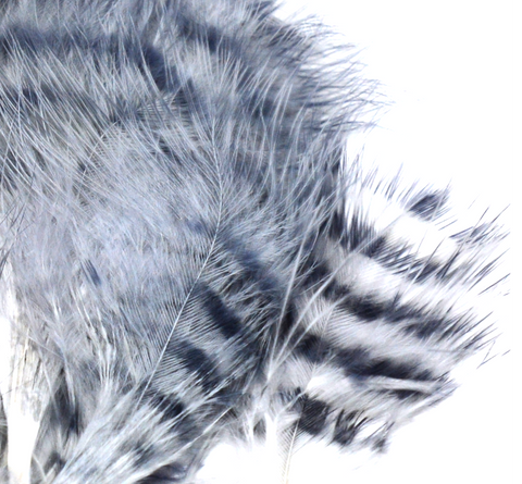 Jailhouse Marabou