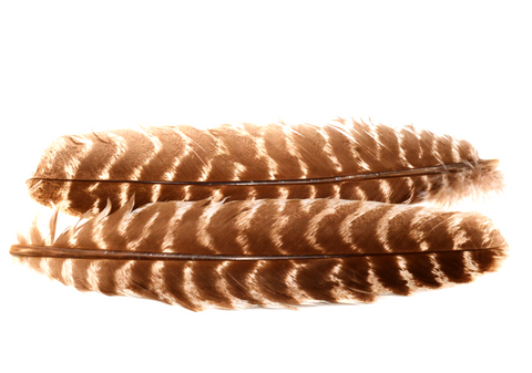 Nature's Spirit SELECT Ozark Barred Turkey Wing