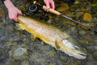 Thomas & Thomas Contact III+ Euro Nymph Rod
