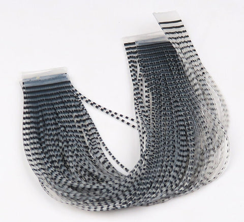 Hareline Dubbin Chicone's Barred Crusher Legs