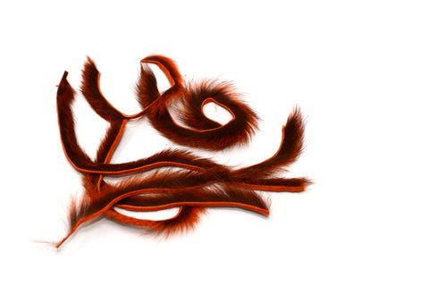 Pine Squirrel Zonkers