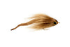 Dragontail Bait Fish