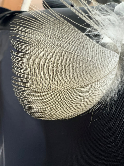 Lemon Wood Duck Flank