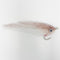 GT'S Sardina
