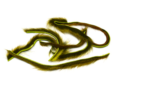 Pine Squirrel Zonkers