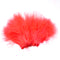 Nature's Spirit Blood Quill Strung Marabou