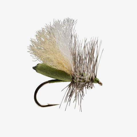 Foam Run Caddis - Olive