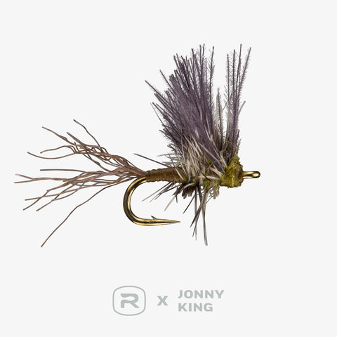 King Wedgewing - BWO