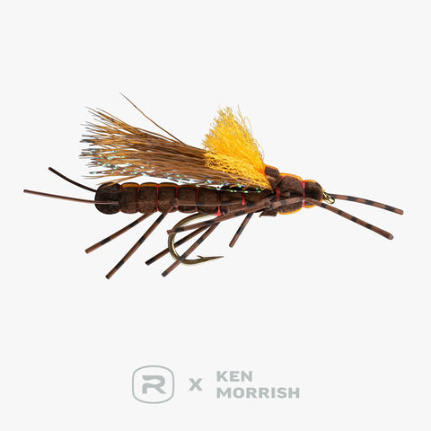 Morrish Fluttering Stone