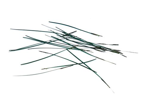Nature's Spirit Polish Quills