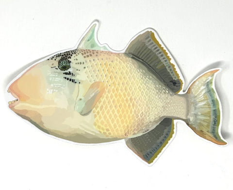 Trigger Fish Sticker