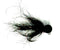 Tungsten Jig Leech
