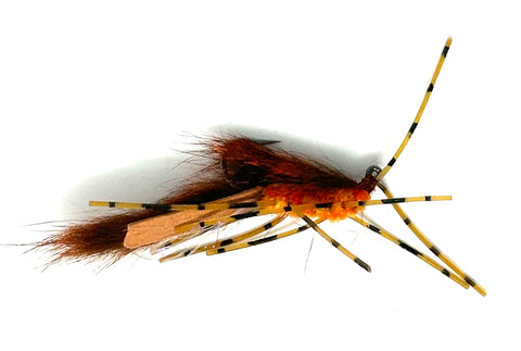 Jig Squirdle Bug