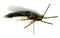 Jig Squirdle Bug