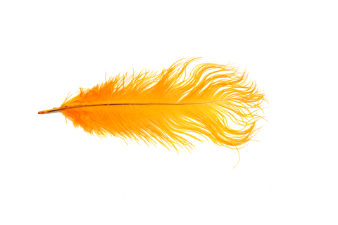 Nature Spirit Ostrich Plume