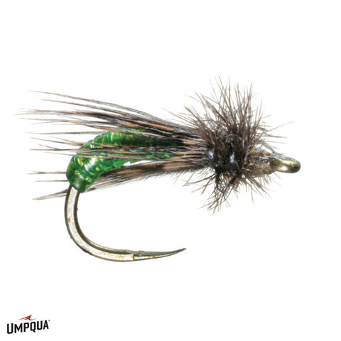 Graphic Caddis