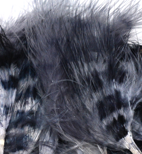 Jailhouse Marabou