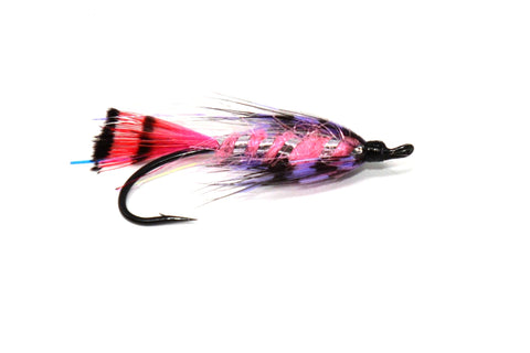 Hazel's Light Reconnaissance