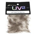 Hareline UV2 Select CDC Feathers