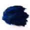 Strung Guinea Hackle