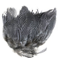 Hareline Dubbin Strung Silver Pheasant Body