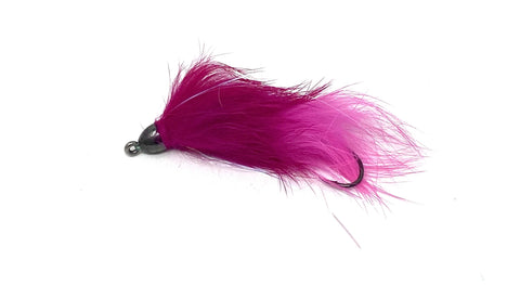Moal Leech