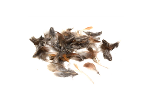 Nature's Spirit French Partridge