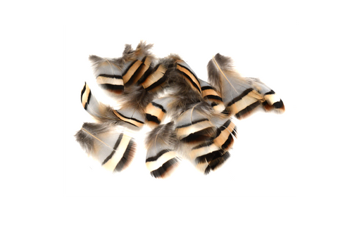 Nature's Spirit French Barred Partridge