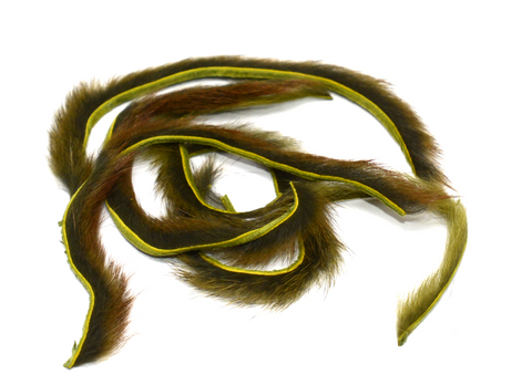 Micro Pine Squirrel Zonkers