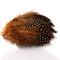 Strung Guinea Hackle