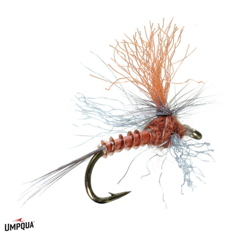 Profile Spinner - BWO