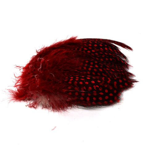 Strung Guinea Hackle