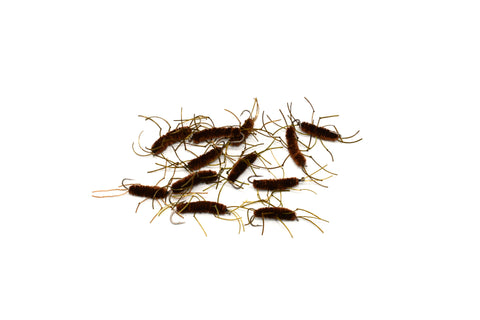 Restless Stone Fly Puck (12 Flies)
