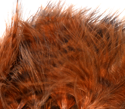 Jailhouse Marabou