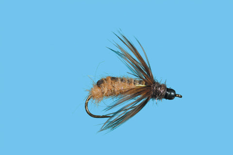 Bead Head October Caddis