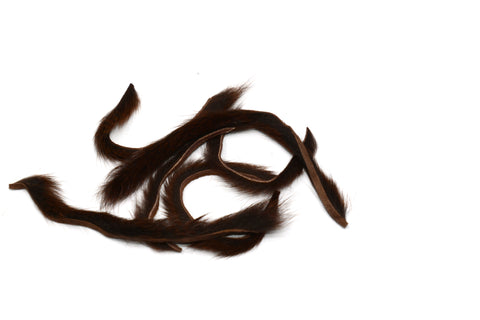 Pine Squirrel Zonkers