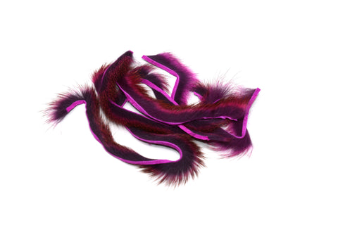 Pine Squirrel Zonkers