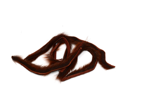 Pine Squirrel Zonkers