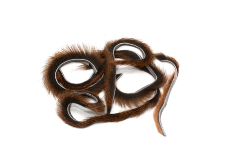 Pine Squirrel Zonkers