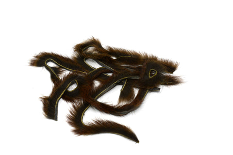 Pine Squirrel Zonkers