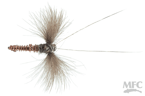 Shaner's Dead-Bug Caddis