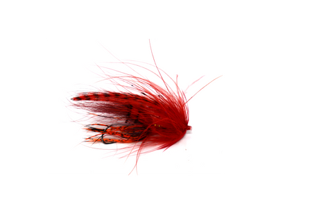 Rowell's Shrimpton