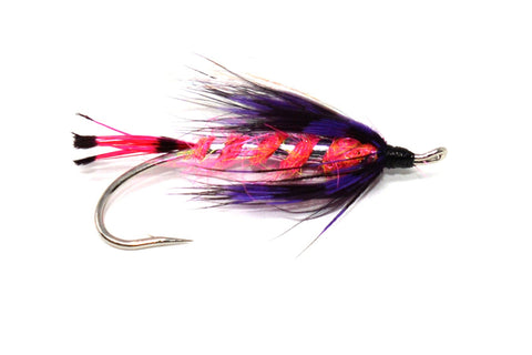 Hazel's Skinny Reconnaissance