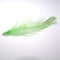 Deschutes Angler Custom-Dyed Rhea Plume