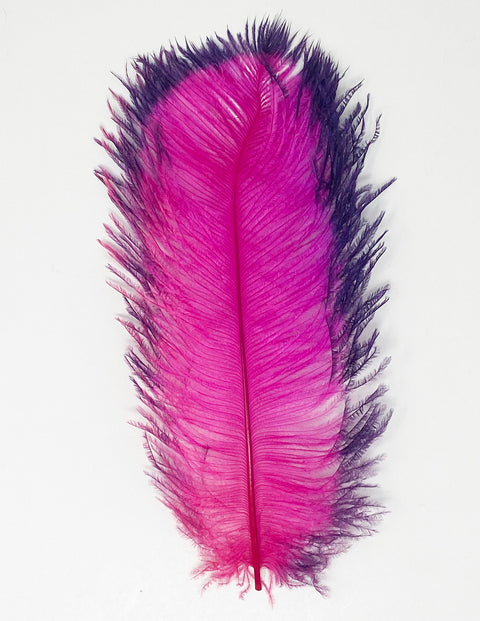 Spirit River Tip Dyed Ostrich Plume