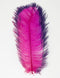 Spirit River Tip Dyed Ostrich Plume