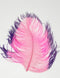 Spirit River Tip Dyed Ostrich Plume