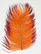 Spirit River Tip Dyed Ostrich Plume