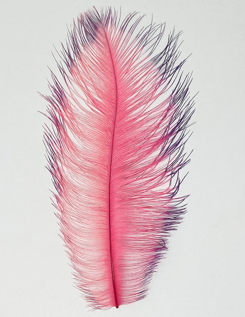 Spirit River Tip Dyed Ostrich Plume