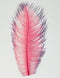 Spirit River Tip Dyed Ostrich Plume